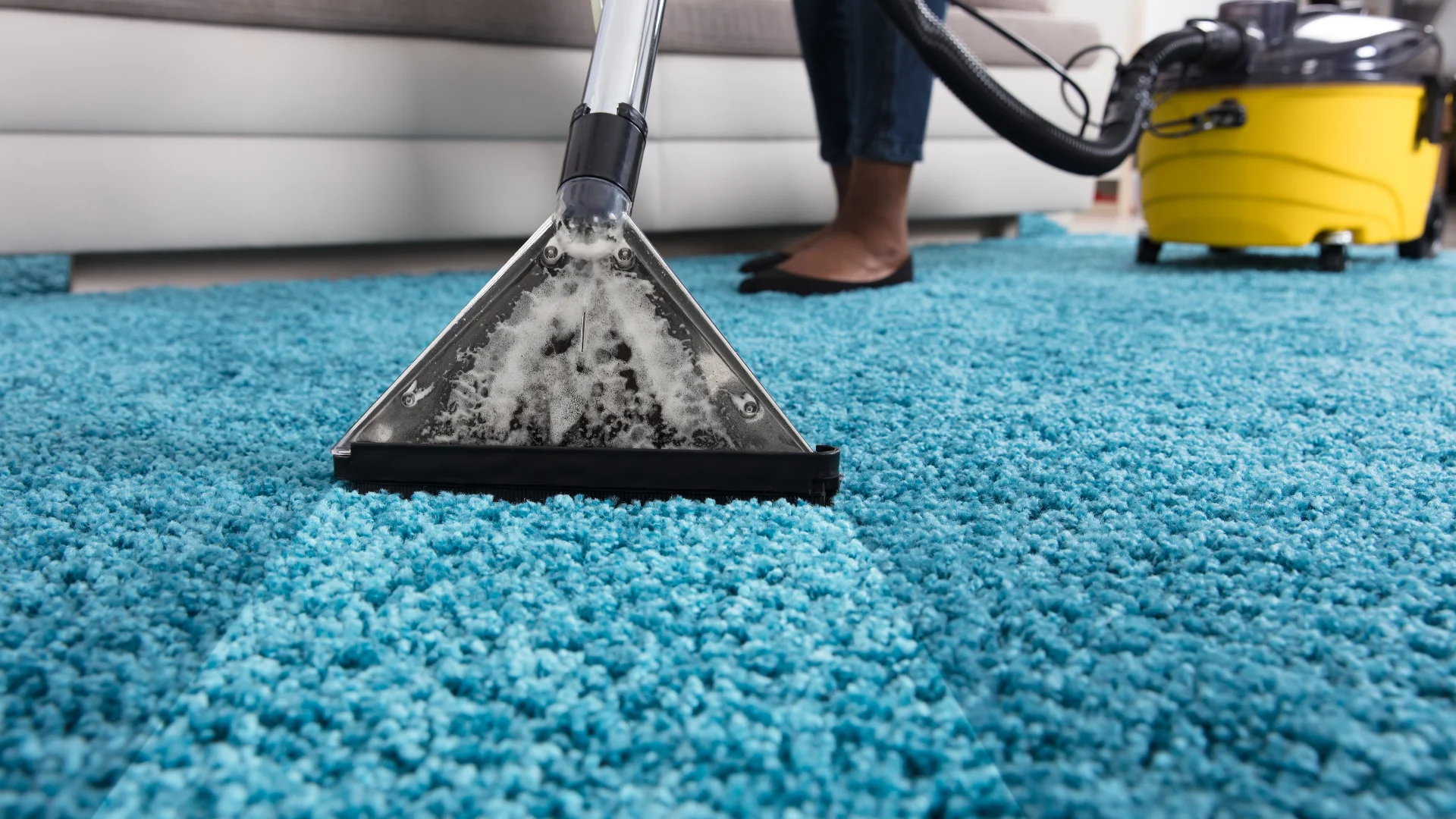 Carpet Cleaning