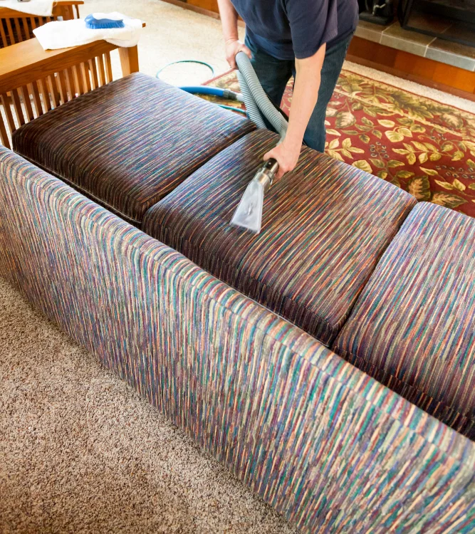 Cleaning Sofa