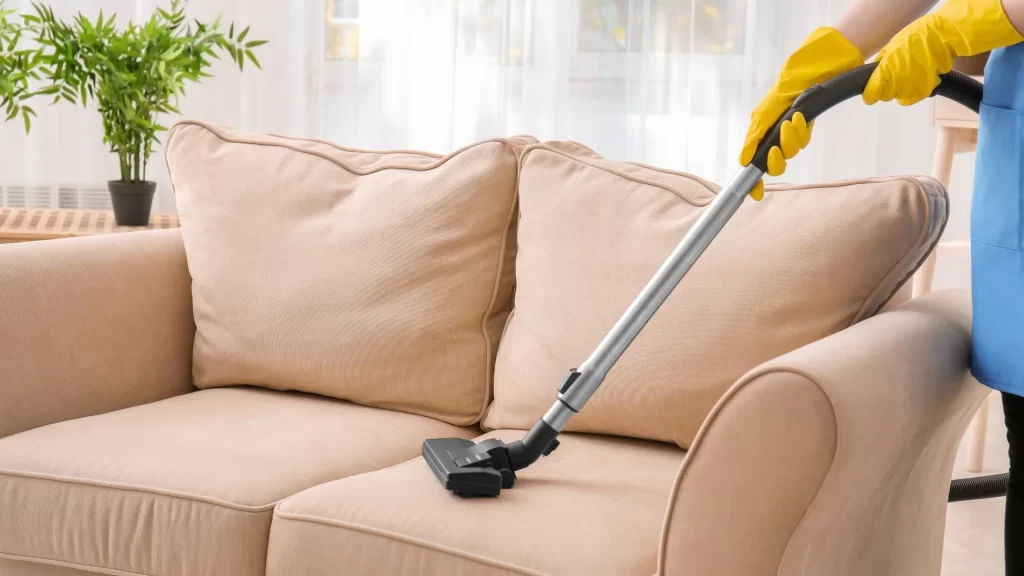 professional-sofa-cleaning